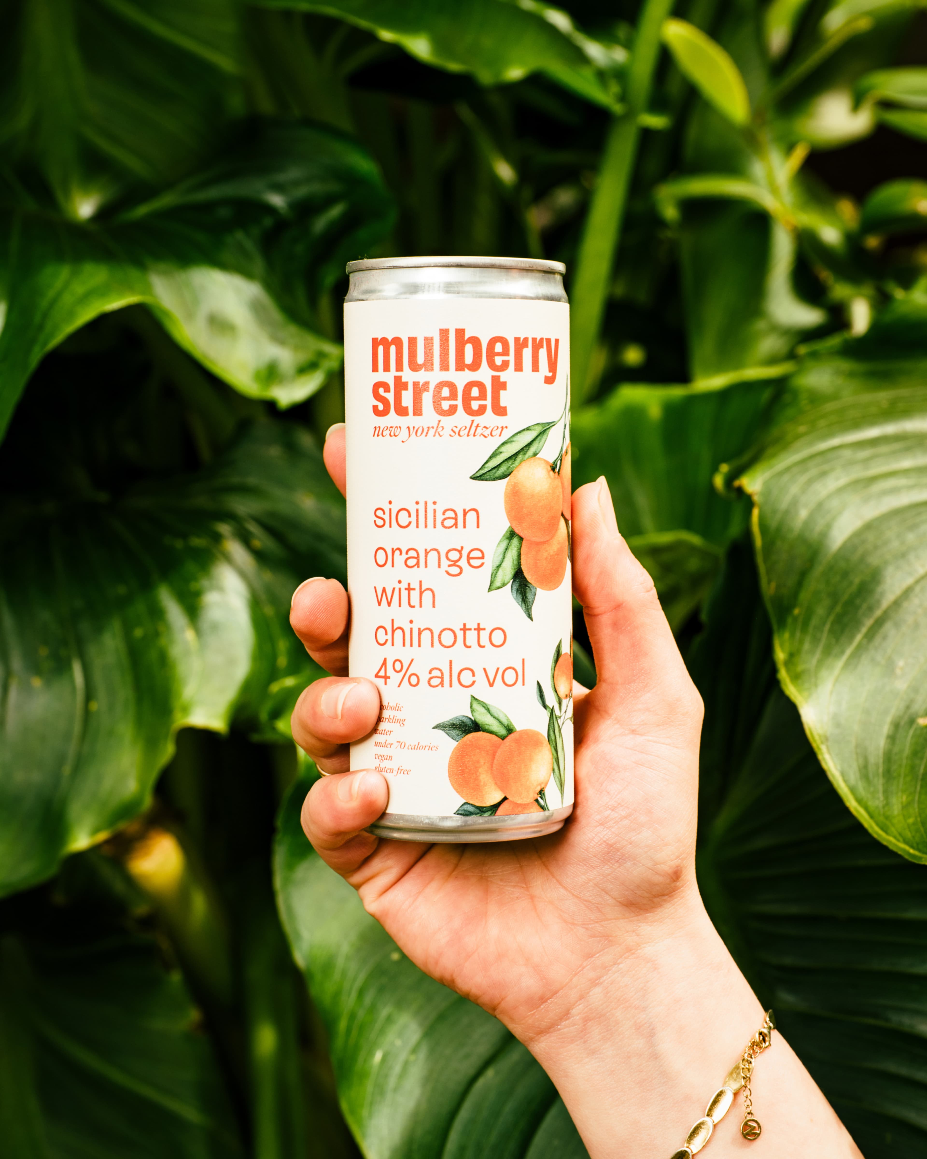 Hand holding a can of Mulberry Street Sicilian Orange with Chinotto seltzer against a backdrop of lush green leaves.