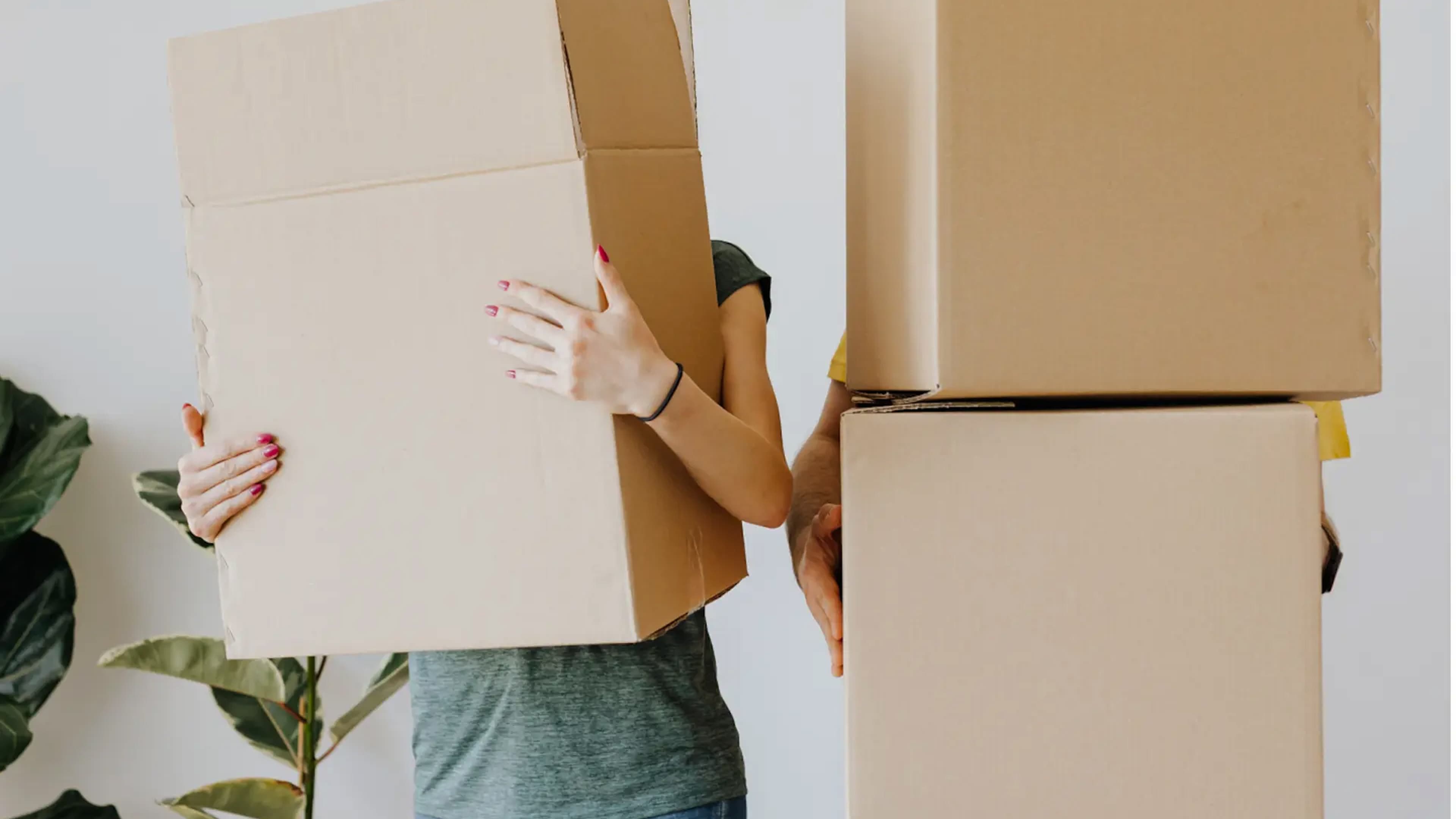 Two people carrying large cardboard moving boxes, obscuring their faces, with a houseplant visible in the background.